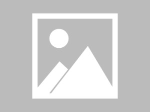 义乌商贸，连接中国商贸中心的商贸大动脉